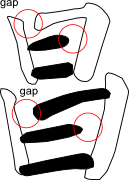 Chang Character with Non-solid Connections